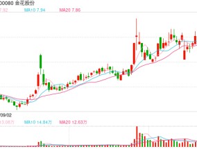 金花股份及多名高管再次挨批 遏制“小错不断”现象亟待监管创新