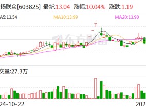 华扬联众：公司及实控人苏同因涉嫌信息披露违法违规被证监会立案