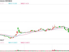 “一证一品”政策成催化？6连板美邦股份提示三大风险