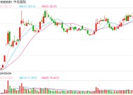 中芯国际联席CEO赵海军：单价提升大致抵消出货下降、折旧上升对毛利率的影响