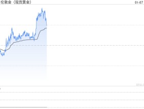 世界黄金协会：2024年11月各国央行购金强劲，净增持了53吨