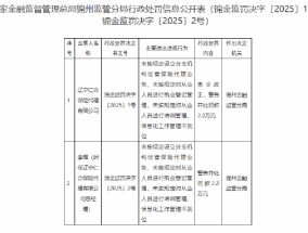 辽宁仁合保险代理被罚2.2万元：因未按规定设立分支机构经营保险代理业务等违法违规行为