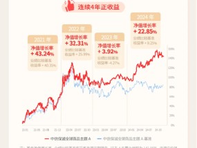 介绍一只近3/5年都排名第1的QDII基金