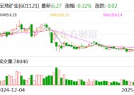 宝地矿业：公司暂未获知新矿集团或金源矿冶资产注入及整体上市的计划