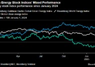 报告：2024年投资者在部分绿色能源股中找到价值