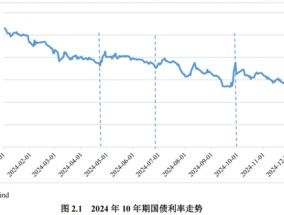 2024年债券市场发展报告