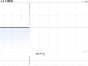 中华银科技完成发行1606.6万港元的可换股债券