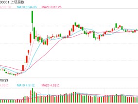 杨德龙：引导中长期资金入市 支持资本市场平稳健康发展