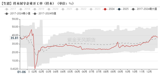 生猪：现货回调，期货跟随走弱