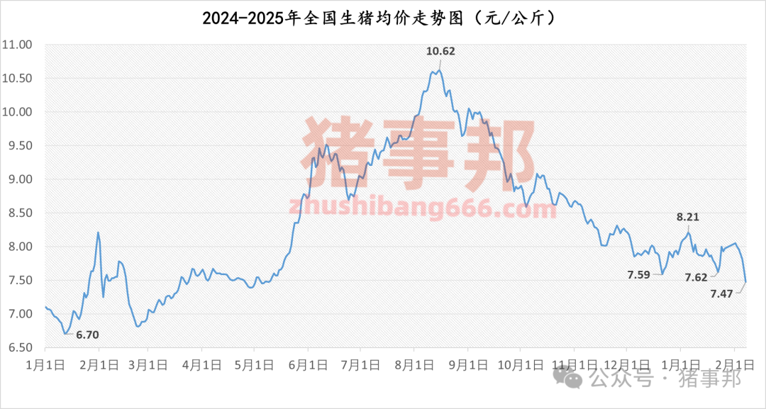 2月7日猪价汇总（跌势扩大，创近9个月新低！）