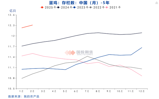 鸡蛋期货价格为何再下一城