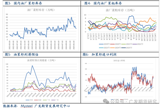 菜粕：关税加征落地，菜粕开盘涨停