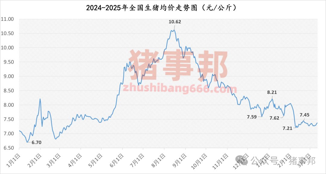 3月12日猪价汇总（连涨4天，市场情绪分化！）